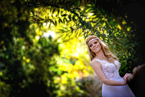 Wedding Gallery