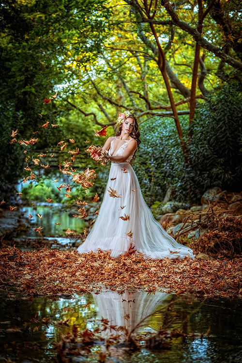 Wedding Gallery